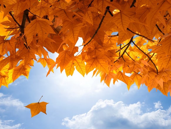 БЦ Европа Сурганова 57Б помещение 307С