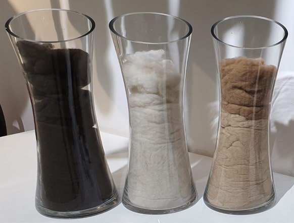 Шерсть, меринос, кашемир: особенности каждого вида