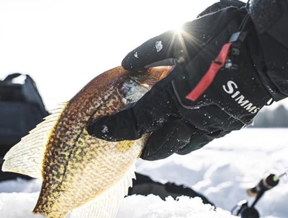 Зимние рыболовные перчатки: на что обратить внимание при выборе