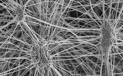 Строение ткани Gore-Tex