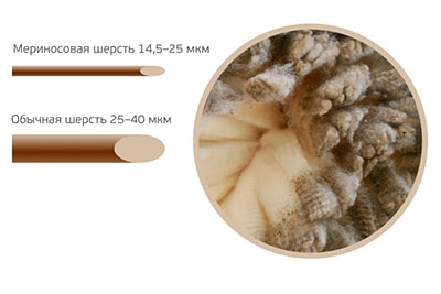 Сравнение толщины шерсти обычной и мериноса